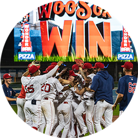 team-circle WooSox History